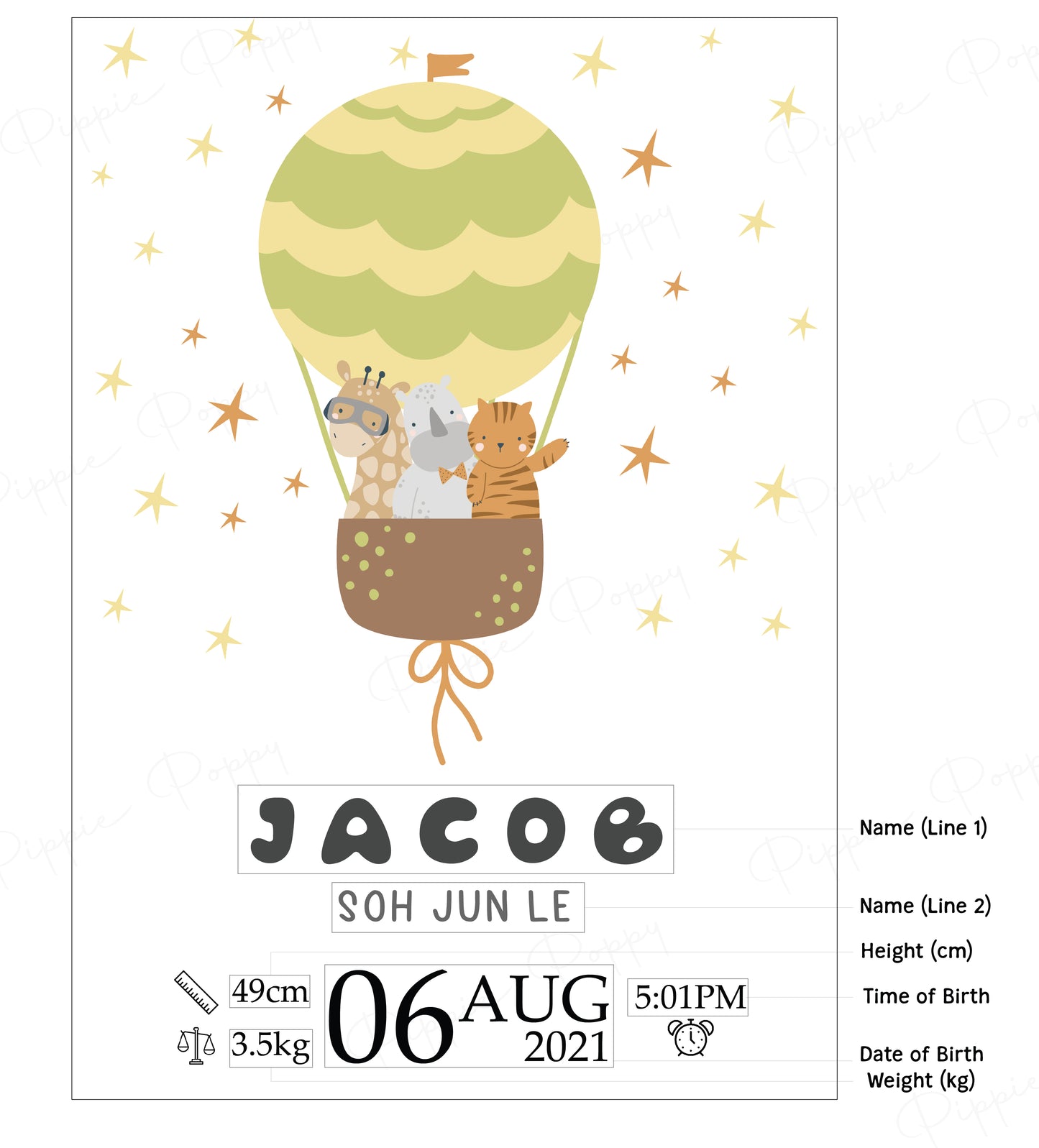 GREEN HOT AIR BALLOON BIRTH ANNOUNCEMENT POSTER